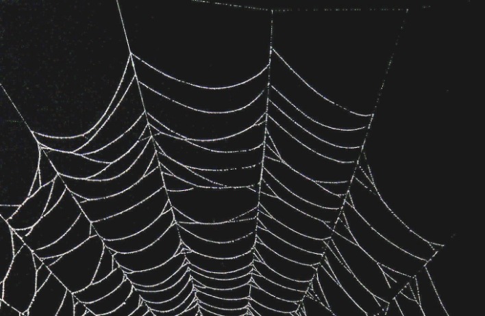 dark web drug markets