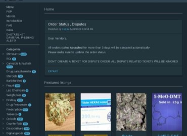 bitcoins and darknet markets